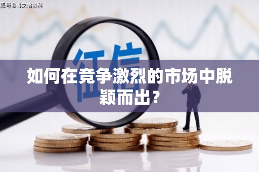 卢氏如何在竞争激烈的市场中脱颖而出？