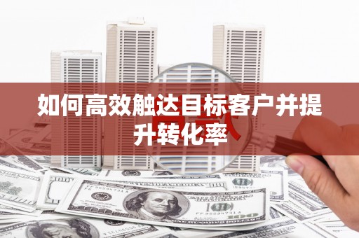 卢氏如何高效触达目标客户并提升转化率