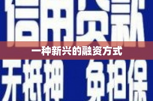 卢氏一种新兴的融资方式