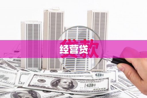 卢氏经营贷
